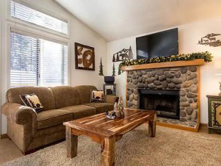 Cozy living room with a stone fireplace, brown sofa, rustic wooden coffee table, and nature-themed decor.